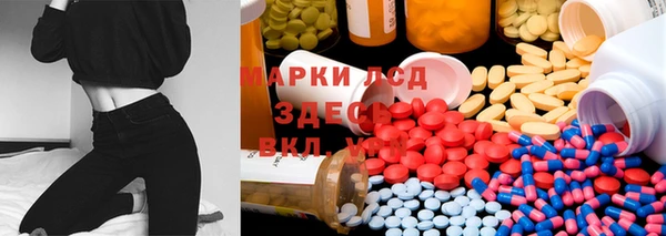 стаф Горняк