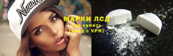 сатива Вязьма