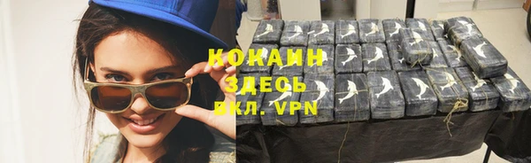 сатива Вязьма