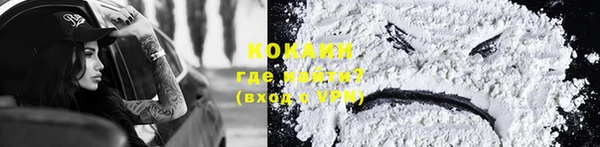 стаф Горняк