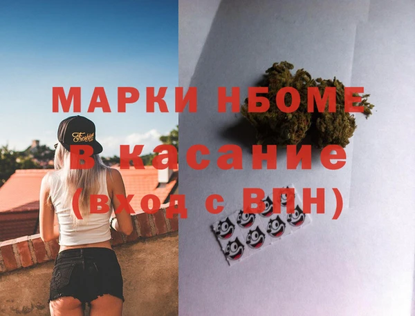 стаф Горняк