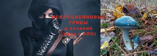 спиды Горно-Алтайск