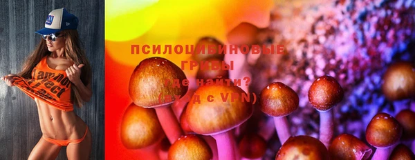 спиды Горно-Алтайск